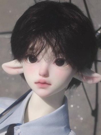 Wonderland Doll BJD Head Fl...