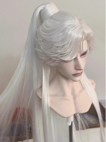 BJD Wig Boy White Black Lon...