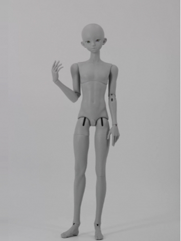 Wonderland Doll BJD Body Sp...