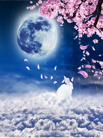 BJD Background/Fairy/Backdrop Photography Wall Settings Y5458 Ball-jointed Doll