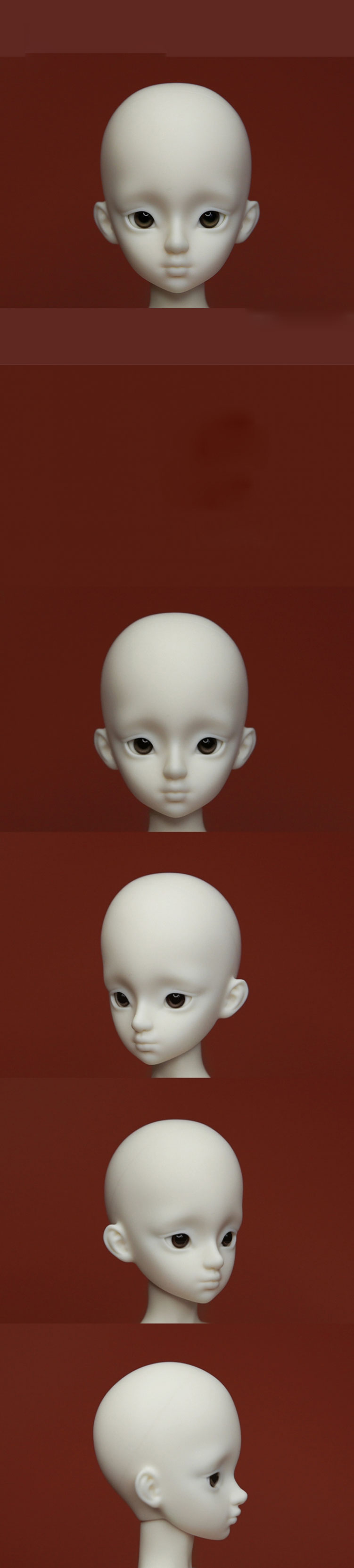 head附图OK.jpg