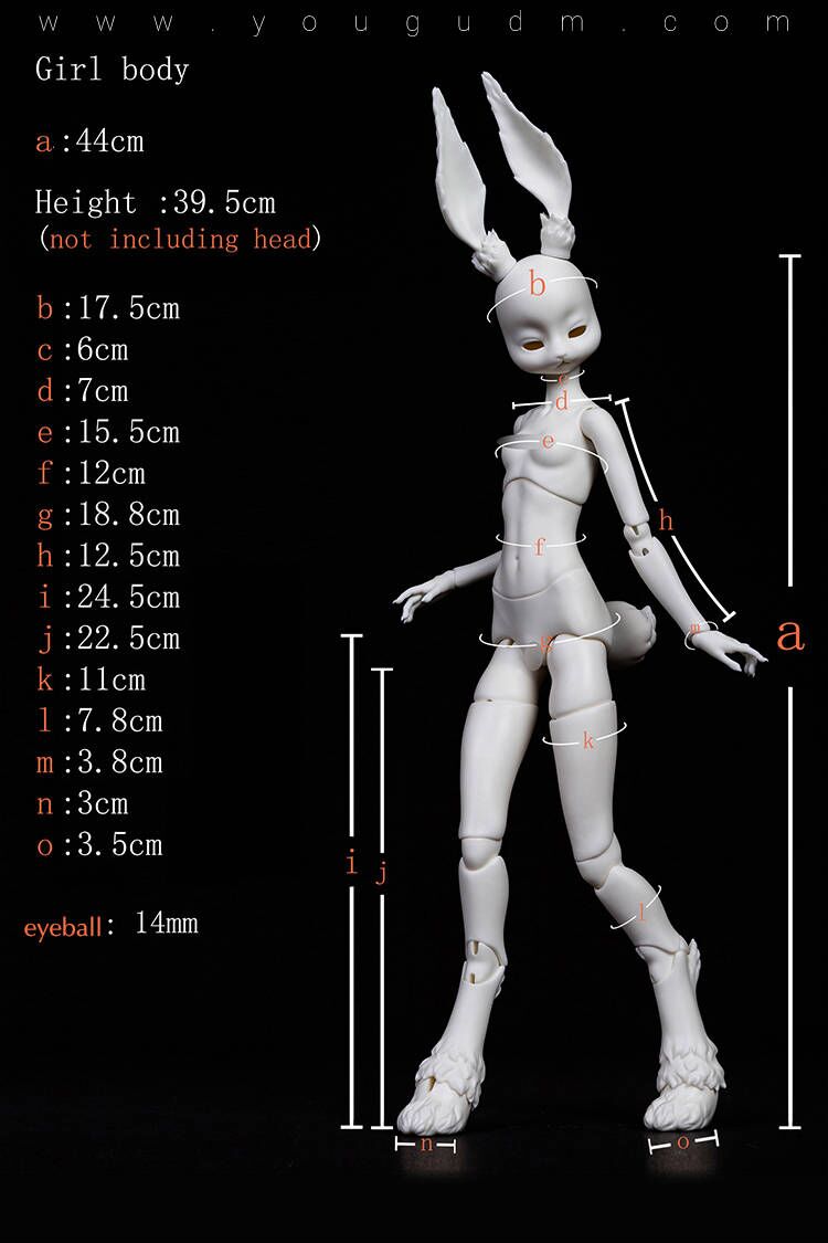 rr.jpg