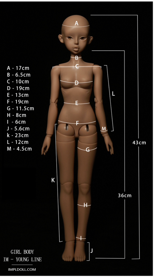 body.png