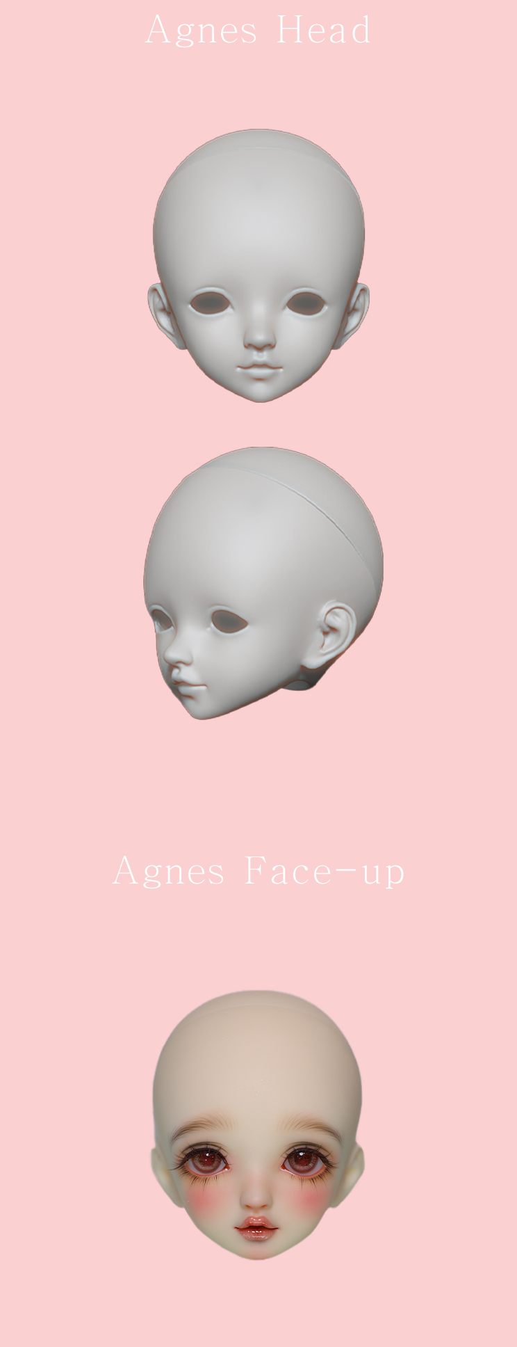 agnes.png