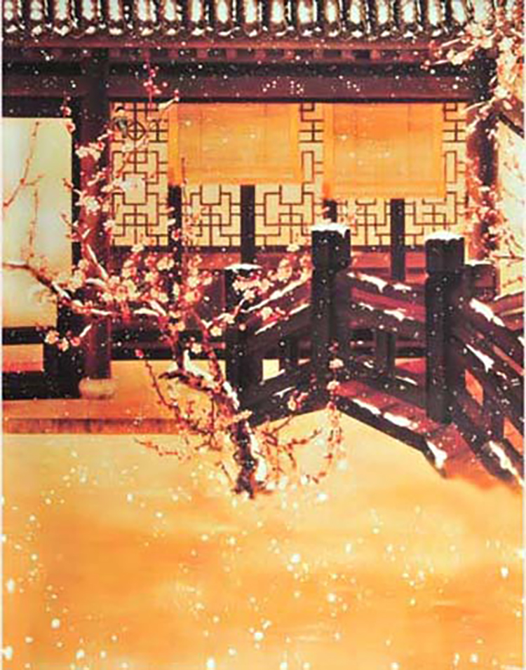 XY-1.jpg